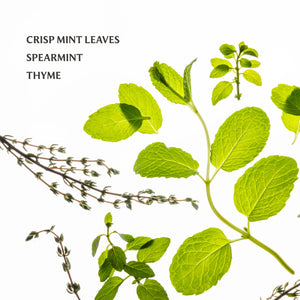 Frosted Mint Power Mist Hydrating Hand Sanitizer