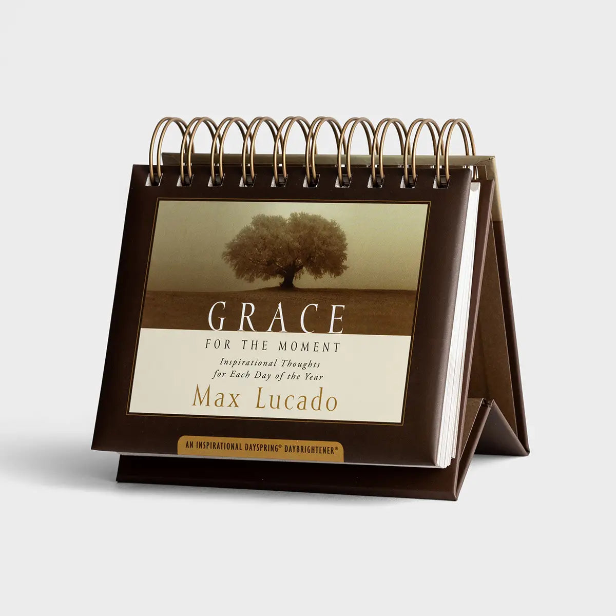 DaySpring Max Lucado - Grace For The Moment - Perpetual Calendar