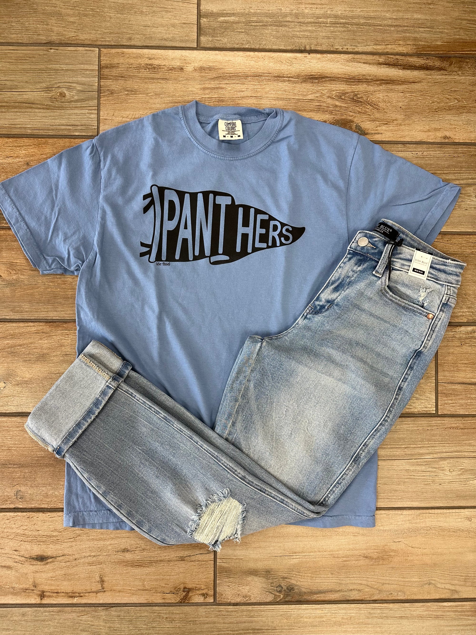 Panthers Pennant Flag Graphic Tee or Sweatshirt