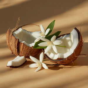 Pura Becki Owens Coconut Calm Car Diffuser Refill