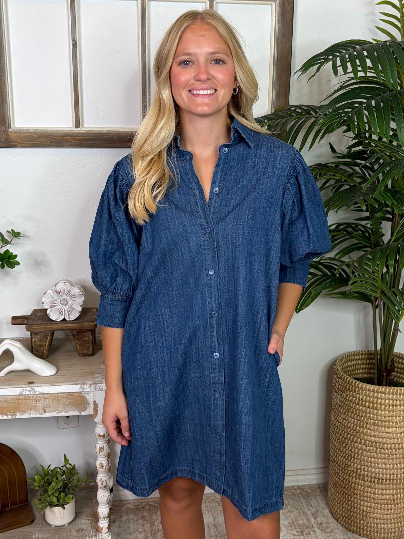 Denim Button Down Puff Sleeve Mini Dress