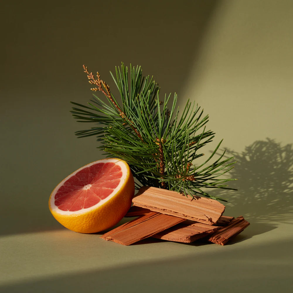 Pura Barr-Co Fir & Grapefruit Scent Fragrance Refill
