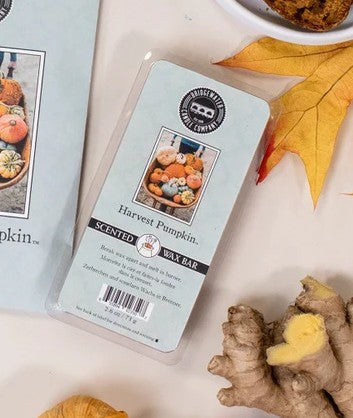 Bridgewater Harvest Pumpkin Wax Melt