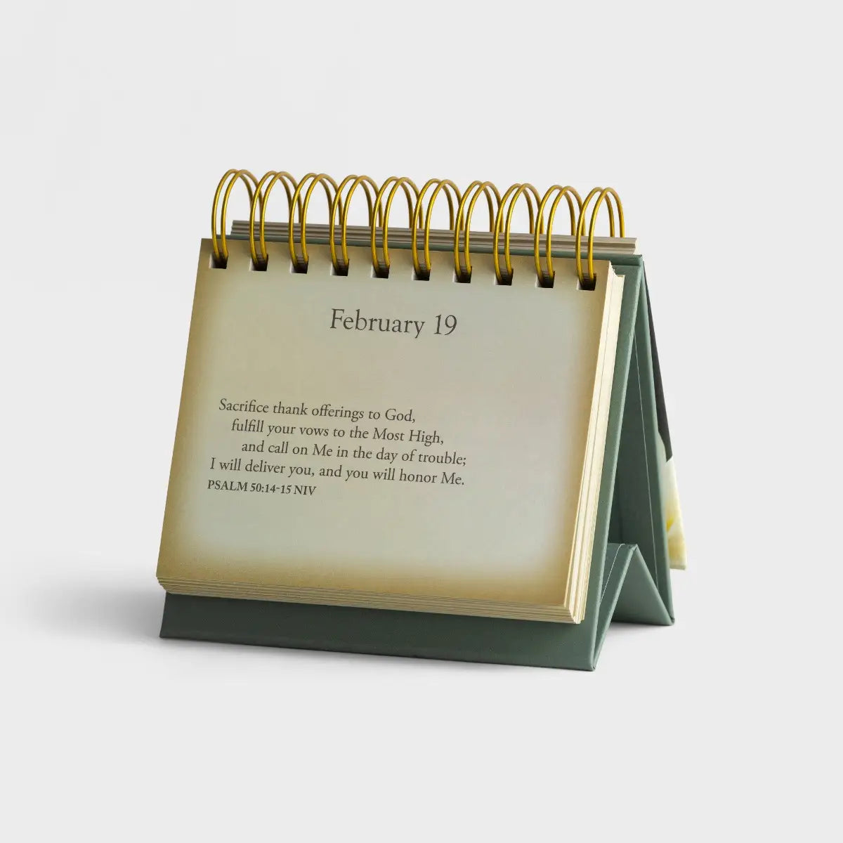 DaySpring Psalms Beside Still Waters - An Inspirational DaySpring DayBrightener