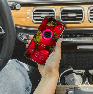 Pura Let's Celebrate Car Diffuser Refill