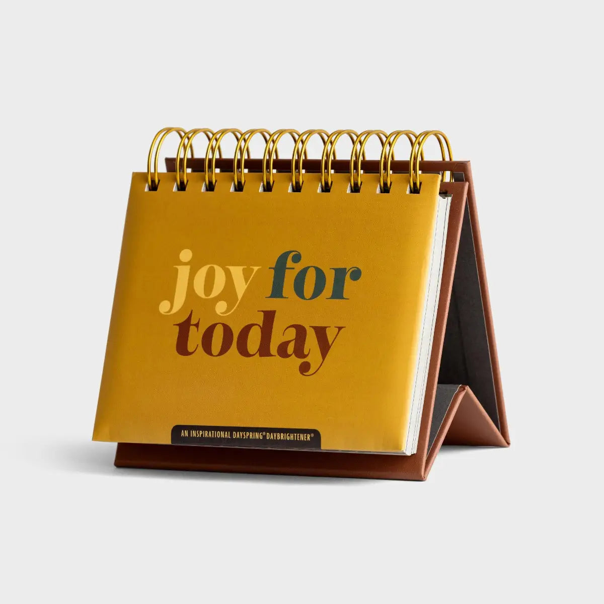 DaySpring Joy for Today - Perpetual Calendar