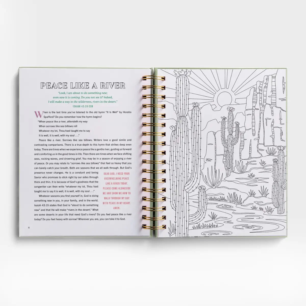 DaySpring Rest For Your Soul Devotional Coloring Book