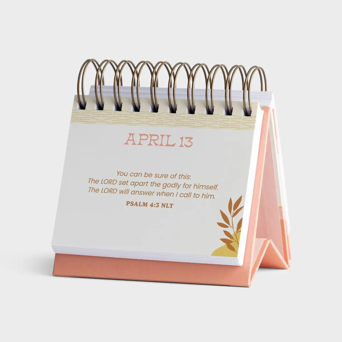 DaySpring Moments for Moms - 366- Perpetual Calendar