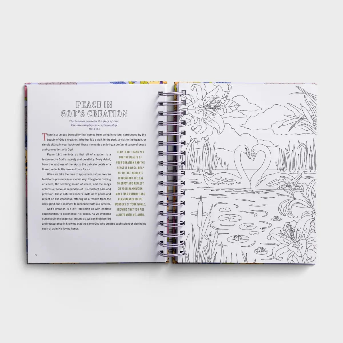 DaySpring Finding Peace in God's Embrace Devotional Coloring  Book
