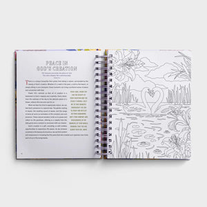 DaySpring Finding Peace in God's Embrace Devotional Coloring  Book