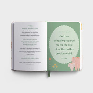 DaySpring Prayers & Affirmations for You and Your Baby