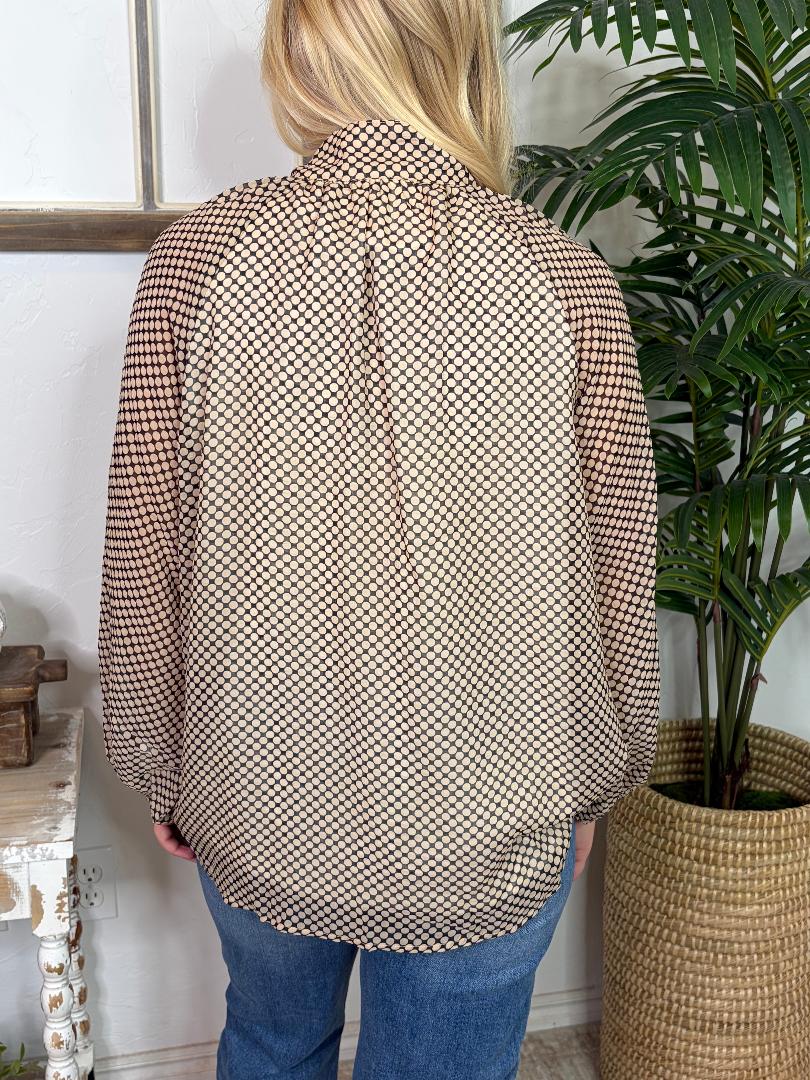 Taupe and Cream Polka Dot Sheer Lined with Ribbon Tie Neck Blouse