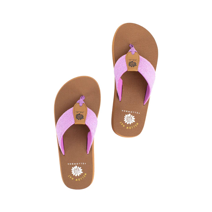 Yellowbox Nessie Flip Flops in Purple